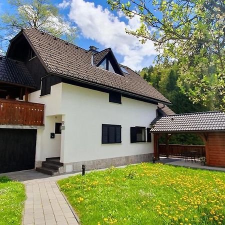 Apartment Alpska Astra Kranjska Gora Εξωτερικό φωτογραφία