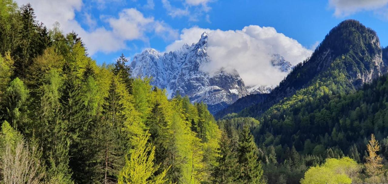 Apartment Alpska Astra Kranjska Gora Εξωτερικό φωτογραφία